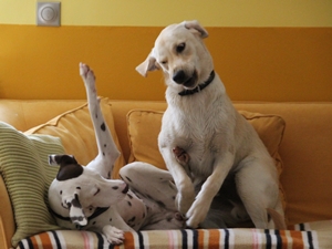 Lana und Chico